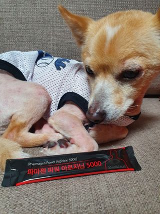 김준근님이 올린 리뷰 사진 1