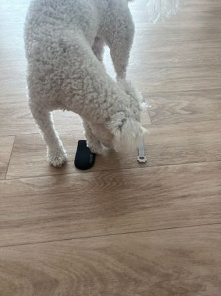 햅비님이 올린 리뷰 사진 2