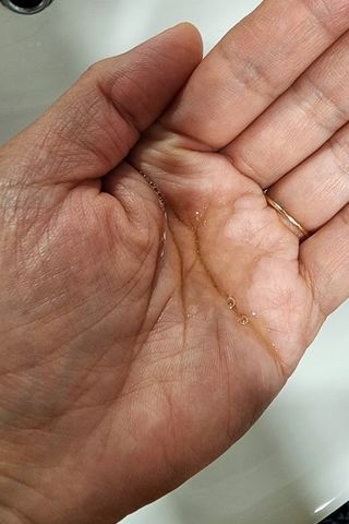 스킨큐어 산다화 순한 클렌징 동백 오일 200ml — 5점을 준 리뷰어가 2023년 3월 올린 사용 사진