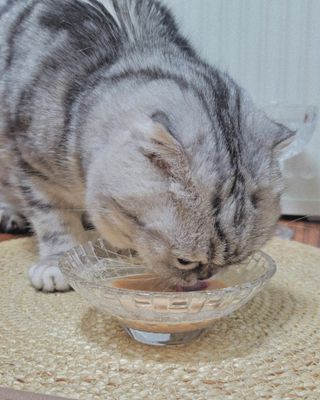 유햐님이 올린 리뷰 사진 3