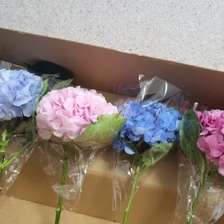 사막여우님이 올린 리뷰 사진 3