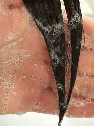 비바님이 올린 리뷰 사진 2
