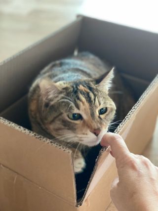 lucycat님이 올린 리뷰 사진 4