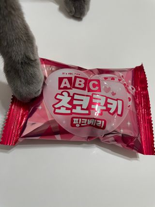 여온님이 올린 리뷰 사진 2