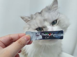 복순이님이 올린 리뷰 사진 3