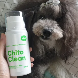 whol 키토클린 200ml - 항균항바이러스 강아지 눈 코 입 귀 세정탈취 고양이 턱드름제거 무향 워터리스 대용량 — 2.5점을 준 리뷰어가 2022년 10월 올린 사용 사진