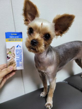 인영님이 올린 리뷰 사진 2
