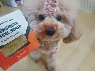 베이컨박스 [BACON] 강아지 수제간식 간편 동결건조 스튜 2종 - 황태, 초록 홍합 — 4점을 준 리뷰어가 2021년 1월 올린 사용 사진