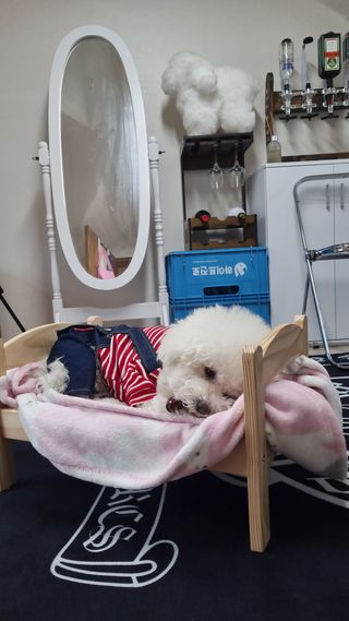 빙빙이님이 올린 리뷰 사진 3
