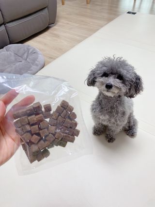 My Pet Care 천연단백질 관절건강에 개좋아 — 5점을 준 리뷰어가 2021년 2월 올린 사용 사진