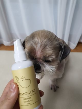 민우다빈이맘님이 올린 리뷰 사진 3