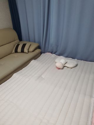신오리님이 올린 리뷰 사진 2
