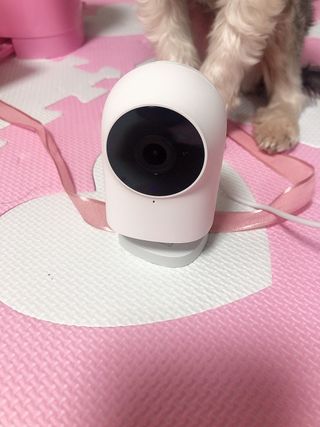꿀님이 올린 리뷰 사진 1