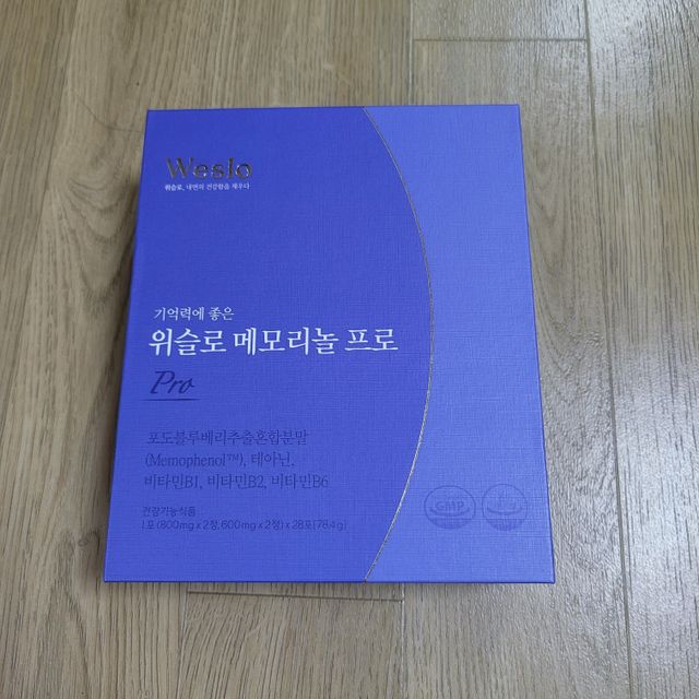 위슬로 메모리놀 프로 리뷰 사진