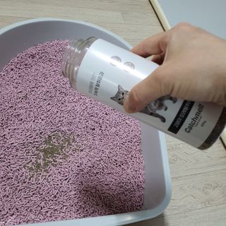 동주맘님이 올린 리뷰 사진 3