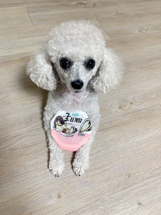 zzzbebemin님이 올린 리뷰 사진 3