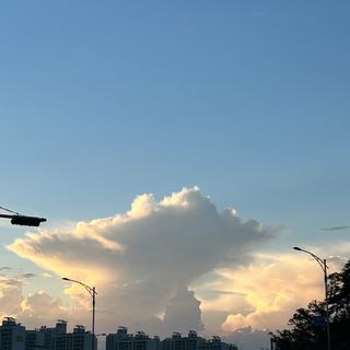 수연정님이 올린 리뷰 사진 1