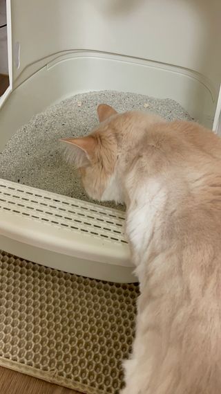 태공주님이 올린 리뷰 사진 1