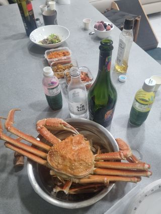 더그레잇티 콤부차 [매일유업] 더그레잇티 44kcal 콤부차 300ml *12개입 (오리지널 6개+베리리치 6개) — 4점을 준 리뷰어가 2023년 8월 올린 사용 사진