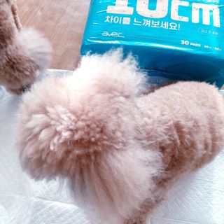 Lala님이 올린 리뷰 사진 3