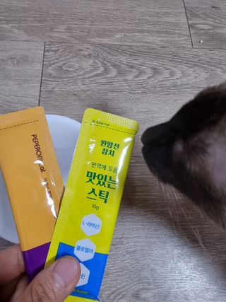 페페로니 맛있는 스틱 - 무항생제 닭고기 15개 + 원양선 참치 15개 — 5점을 준 리뷰어가 2021년 8월 올린 사용 사진