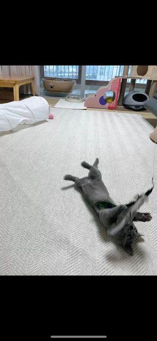 햄미이모님이 올린 리뷰 사진 3
