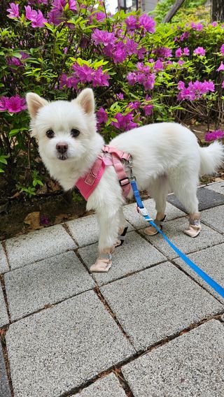 Lily님이 올린 리뷰 사진 3
