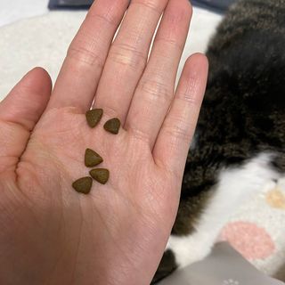 랴님이 올린 리뷰 사진 4