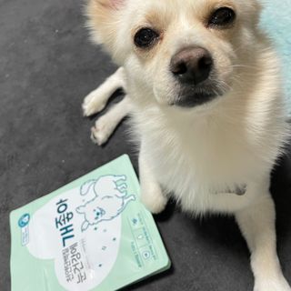 My Pet Care 천연단백질 눈건강에 개좋아 — 5점을 준 리뷰어가 2021년 4월 올린 사용 사진