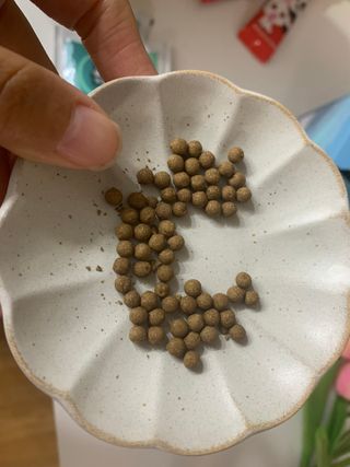 찌으니꼬봉님이 올린 리뷰 사진 4