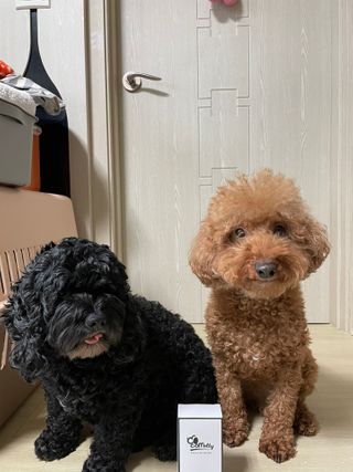 미니님이 올린 리뷰 사진 1
