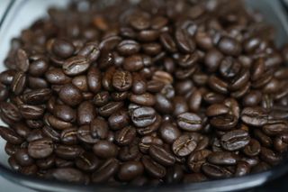 500g  / 갓 볶은 신선한 스페셜티 원두 커피! 커피킹 — 5점을 준 리뷰어가 2023년 9월 올린 사용 사진