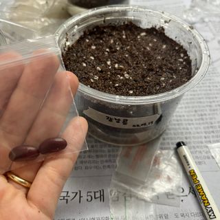 ysssu님이 올린 리뷰 사진 2