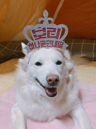 bori0924님이 올린 리뷰 사진 2