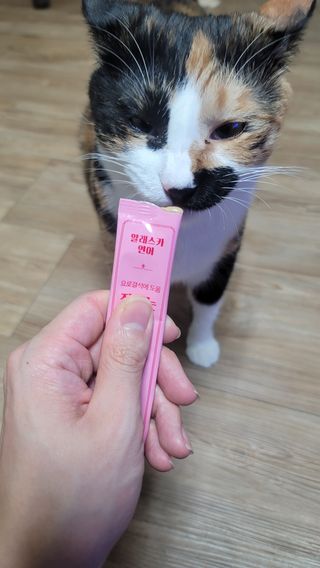 페페로니 잘 먹는 캣츄 - 알래스카 연어 24개입 — 5점을 준 리뷰어가 2021년 9월 올린 사용 사진