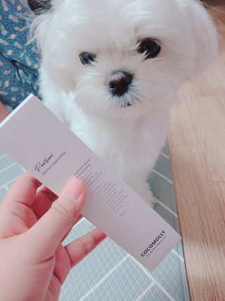 Goodbye 정전기, 코코몰리 판테놀 더마 크림 미스트 — 5점을 준 리뷰어가 2021년 1월 올린 사용 사진