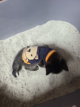 솔비최고❤️님이 올린 리뷰 사진 3
