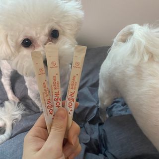 My Pet Care 모발과 모질 피부건강에 개좋아 — 4점을 준 리뷰어가 2021년 3월 올린 사용 사진
