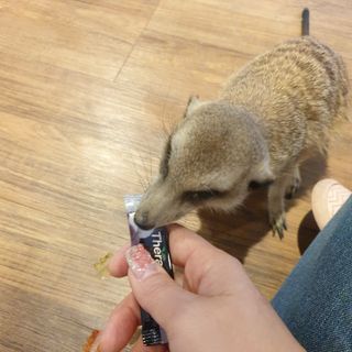 작은곰님이 올린 리뷰 사진 2