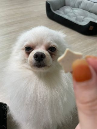 jisun3392님이 올린 리뷰 사진 2