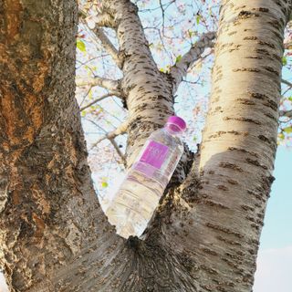 몽베스트 [MONTBEST] 500mL 20병 — 5점을 준 리뷰어가 2022년 4월 올린 사용 사진