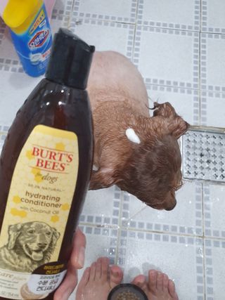 희야님이 올린 리뷰 사진 3