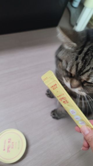 페페로니 잘 먹는 캣츄 - 무항생제 닭고기 24개입 — 5점을 준 리뷰어가 2021년 7월 올린 사용 사진