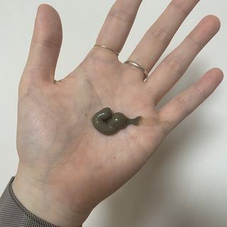 수여이님이 올린 리뷰 사진 4