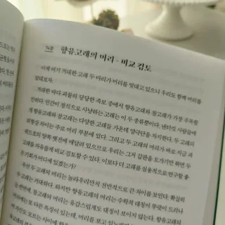 미세스도로시님이 올린 리뷰 사진 4