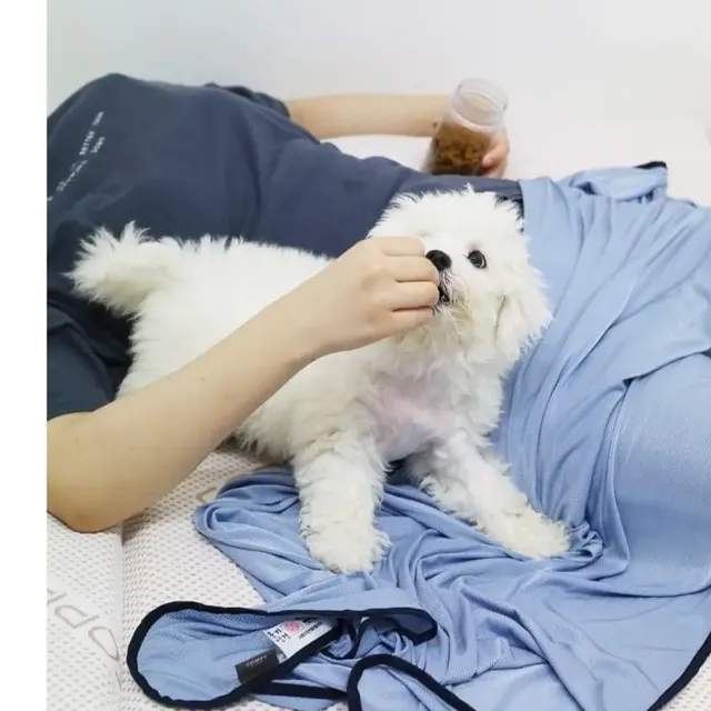 콤피라이프 쿨쿨잠 풍기인견 시원한 여름이불 리뷰 사진