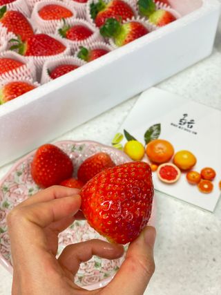옳음 딸기 논산 설향 딸기 900g 산지직송 — 5점을 준 리뷰어가 2021년 1월 올린 사용 사진