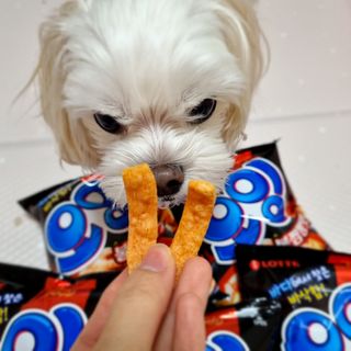 youngran님이 올린 리뷰 사진 1