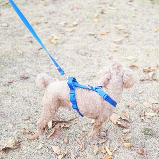 윤디캔디님이 올린 리뷰 사진 1