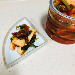 셰프애찬 알타리김치 총각김치 1kg — 4.5점을 준 리뷰어가 2022년 10월 올린 사용 사진